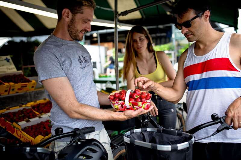 Bike/E-bike tour Plateau,MileEnd, Jean-Talon Market by Fitz - A 3-Hour Ride That Links Montreal’s Coolest Neighborhoods