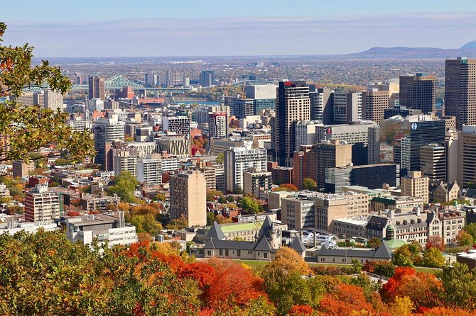 City tour; afternoon in Montreal - Comfort, Timing, and What to Expect at Each Stop