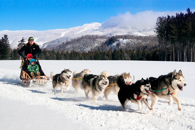 Dogsled Diable Adventure in Mont-Tremblant - How The Diable Dogsled Ride Runs in 90 Minutes
