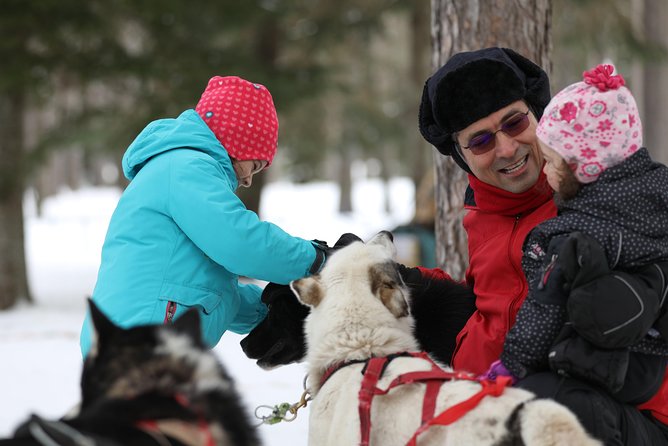 Dogsled Diable Adventure in Mont-Tremblant - What’s Included (and What You’ll Need to Pay Attention To)
