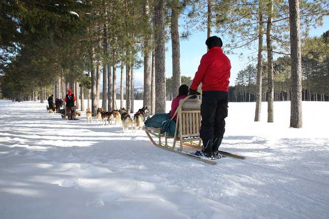 Dogsled Diable Adventure in Mont-Tremblant - Getting There and Timing: Why 30 Minutes Early Helps