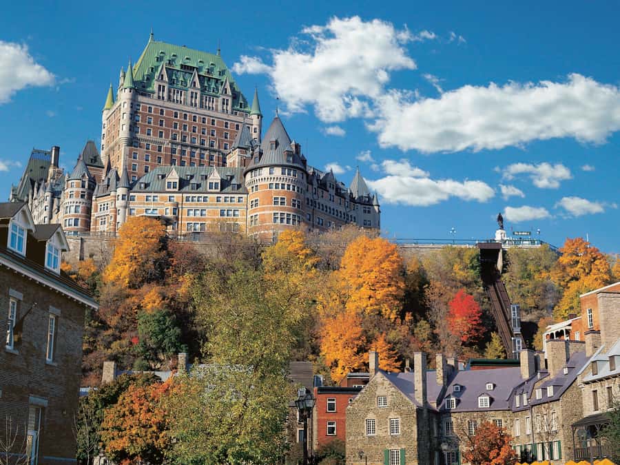 From Montreal: Full-Day Tour of Quebec City with Cruise - Timing, group rhythm, and your comfort level