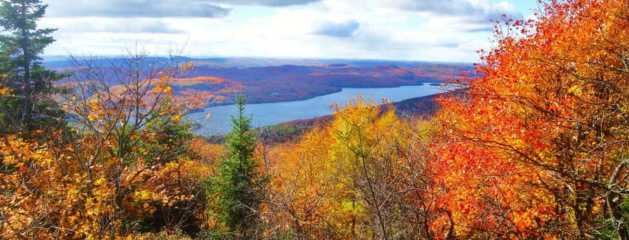 From Montréal: Mont-Tremblant 1-Day Tour - Who this Mont-Tremblant day trip fits best