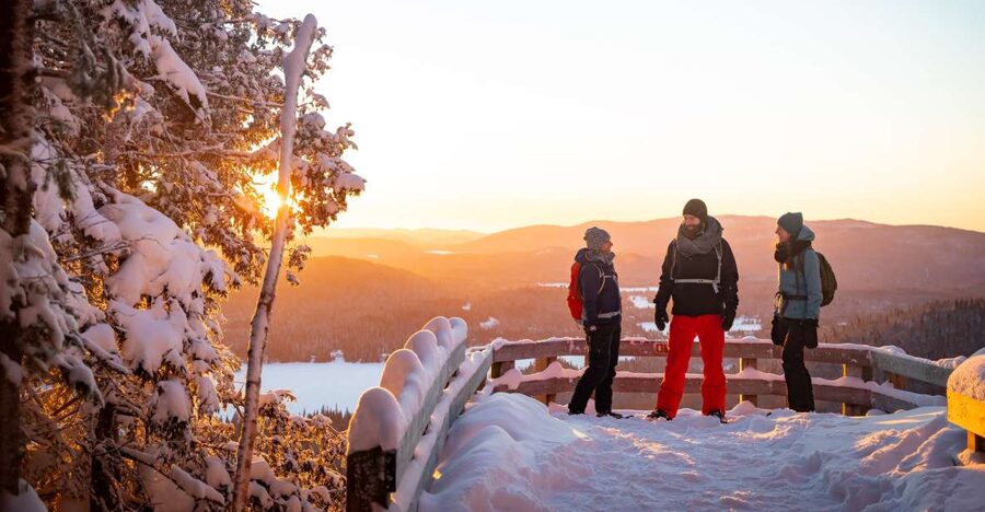 From Montreal: Mont-Tremblant National Park Hiking Day Trip - Key things that make this Mont-Tremblant hike day special