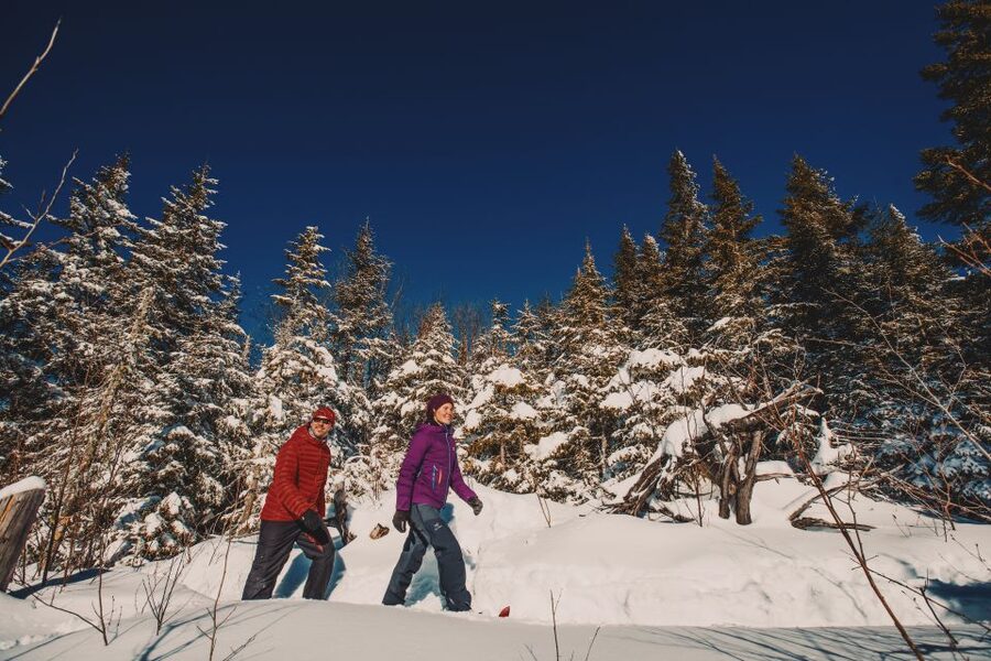 From Montreal: Mont-Tremblant National Park Hiking Day Trip - Picnic time around noon: how to make it feel like a real break