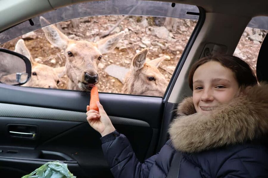 From Montreal: Omega Park Wildlife Safari Calling Sounds - Price and Value: Is $264 per Person Fair?