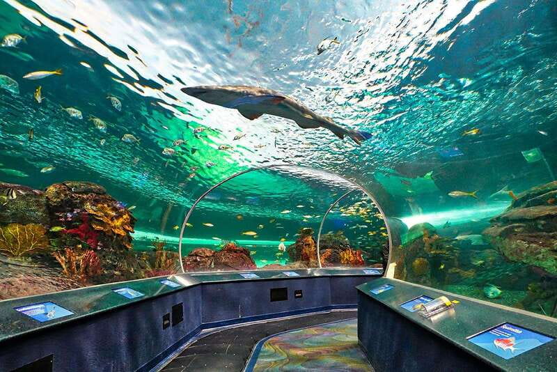 From Montreal: Toronto, Niagara Falls & 1000 Islands Tour - Price and value: what $416 covers, and where you’ll spend extra