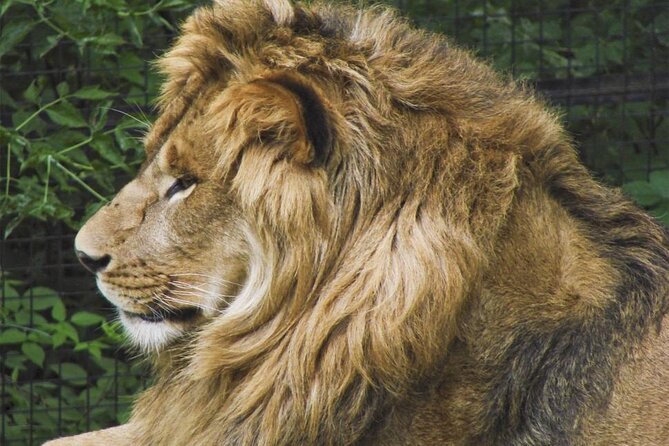 Granby Zoo 1 Day - Budget check: how the $46 fits with zoo entry and lunch