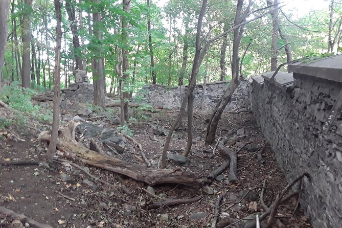 Haunted Mountain - Where You Start in the Plateau and How the Night Trail Feels