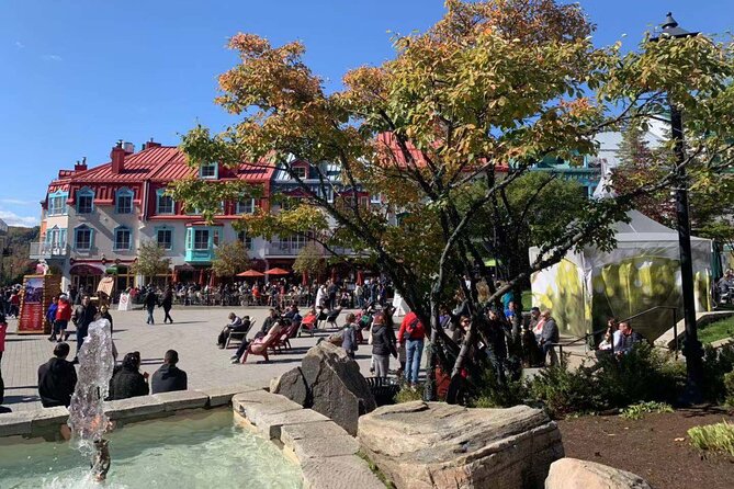 Mont-Tremblant 1 Day Tour - Price and value: what $46 really buys you