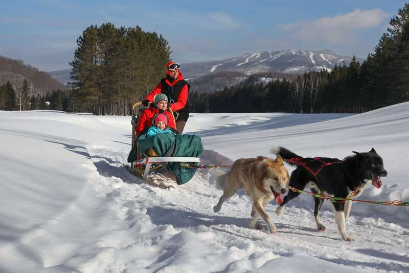 Mont-Tremblant: Guided Dogsledding Tour with Hot Chocolate - Key highlights worth planning for
