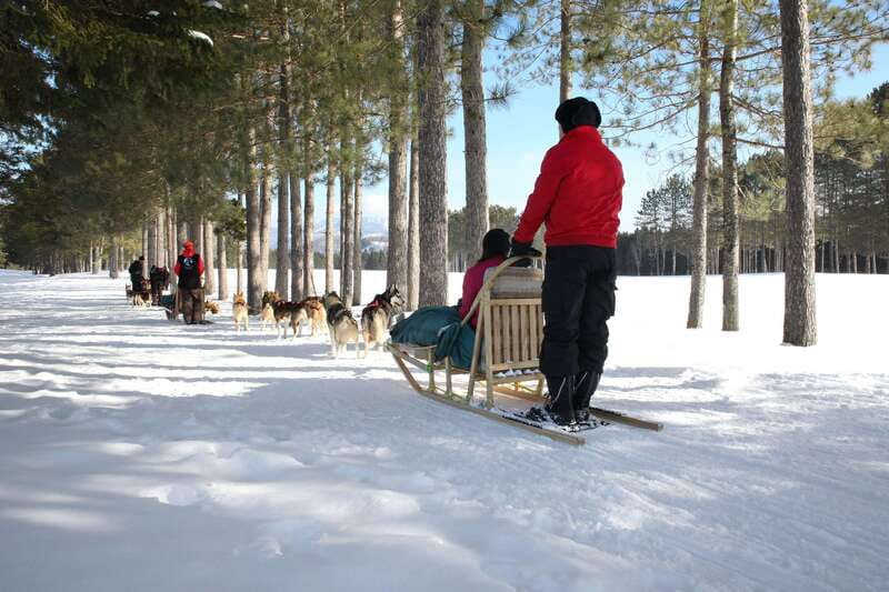 Mont-Tremblant: Guided Dogsledding Tour with Hot Chocolate - Cold-weather reality: helmets, layers, and staying comfortable for about an hour