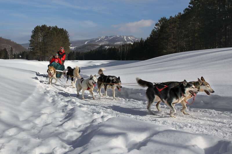 Mont-Tremblant: Guided Dogsledding Tour with Hot Chocolate - On the trails: what the mushing time feels like and what you’ll see