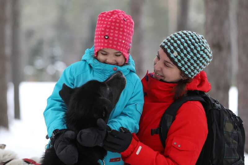 Mont-Tremblant: Guided Dogsledding Tour with Hot Chocolate - Practical tips so you get the best experience