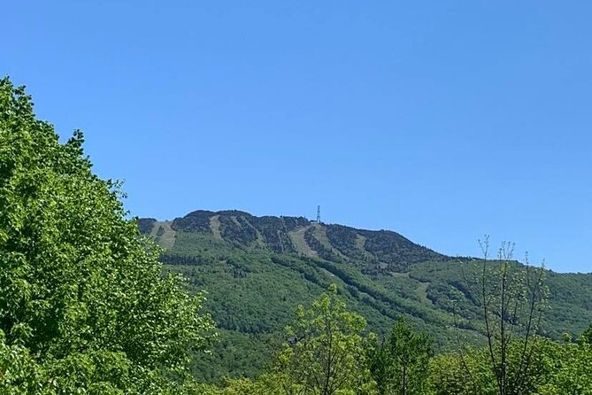 Mont Tremblant Private Day Tour from Montreal - National Park time: trails, canoeing, and winter activities (depending on season)