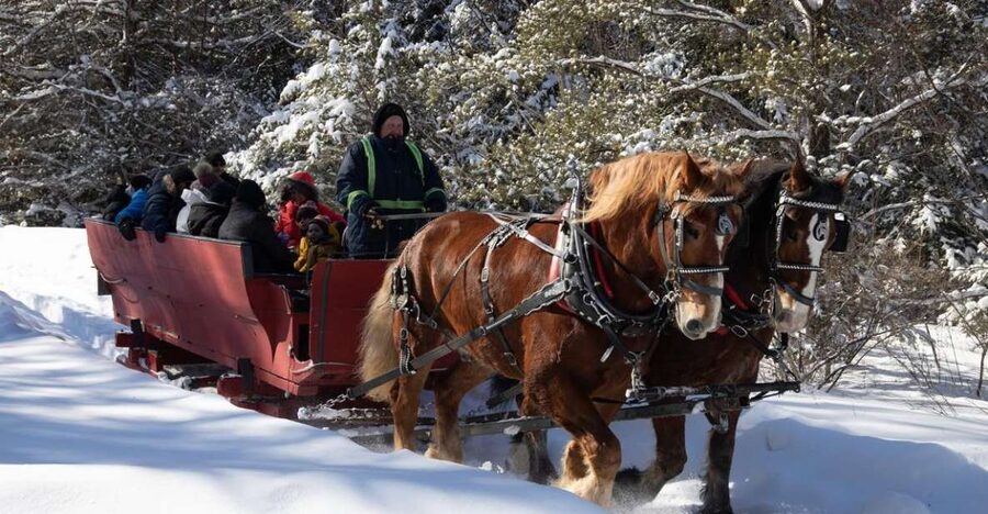 Mont-Tremblant: Sleigh Ride w/ Storytelling & Hot Chocolate - Key things I’d plan around
