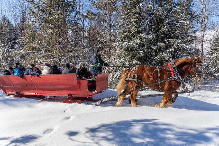 Mont-Tremblant: Sleigh Ride w/ Storytelling & Hot Chocolate - The One-Hour Route: Fields, Then Forest
