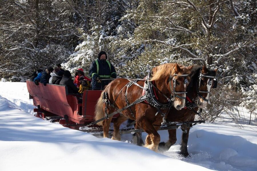 Mont-Tremblant: Sleigh Ride w/ Storytelling & Hot Chocolate - Storytelling and Folk Songs: The Real Reason Families Love It
