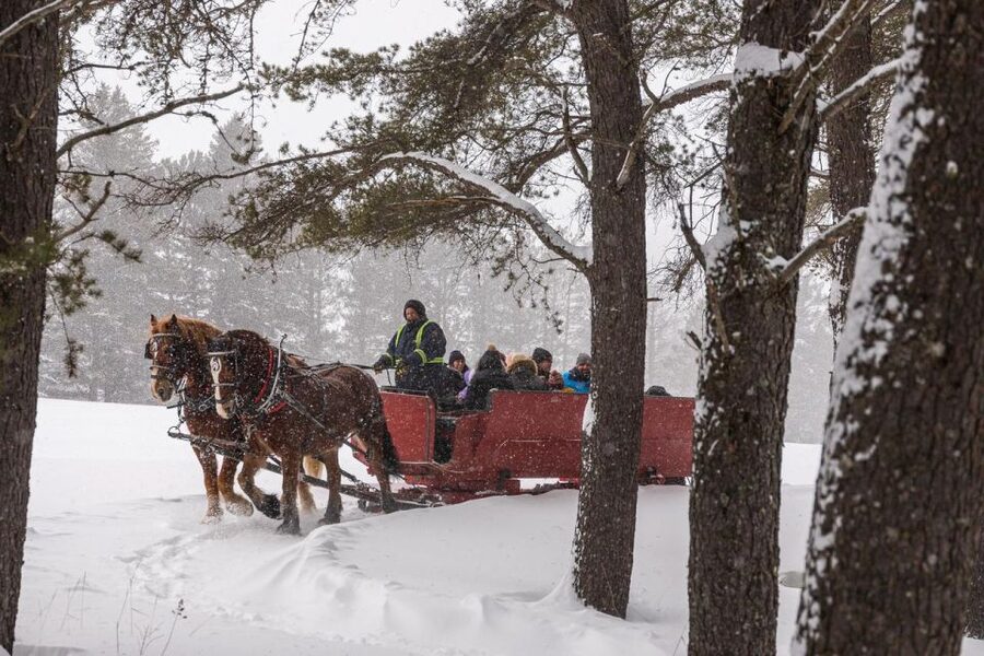 Mont-Tremblant: Sleigh Ride w/ Storytelling & Hot Chocolate - Price and Value: Is $44 Worth It for One Hour?