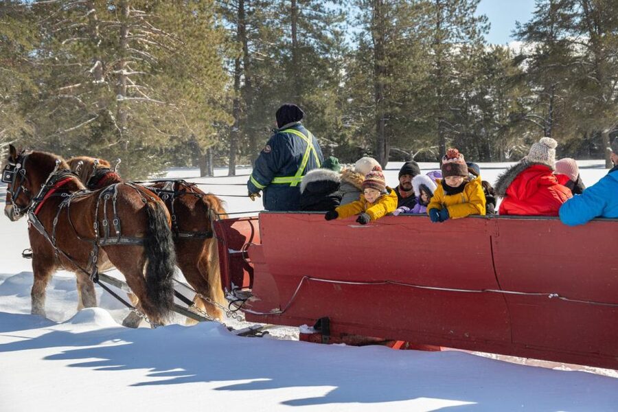 Mont-Tremblant: Sleigh Ride w/ Storytelling & Hot Chocolate - Who This Is Best For (And Who Might Skip It)