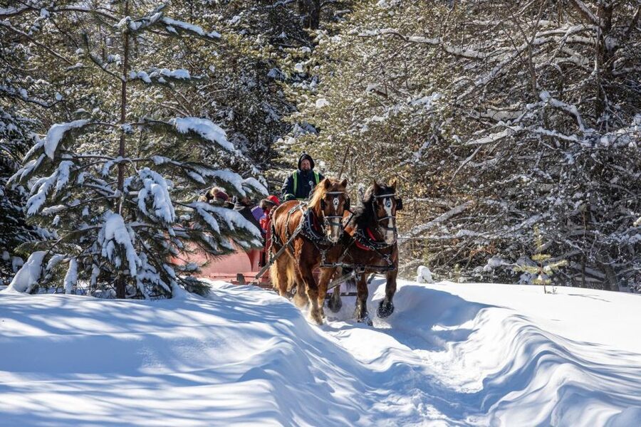 Mont-Tremblant: Sleigh Ride w/ Storytelling & Hot Chocolate - Where You Start: Meeting Point Near Chemin Champagne