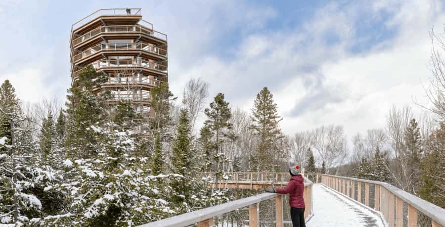 Mont-Tremblant: Treetop Observatory and Self-Guided Walk - Quick reasons to go