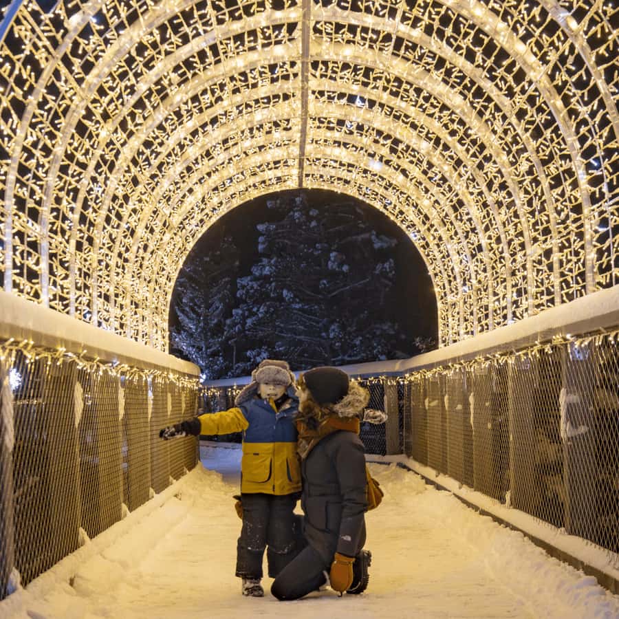 Mont-Tremblant: Treetop Observatory and Self-Guided Walk - What you’ll see: Laurentian Mountains and Mont-Tremblant landmarks from above
