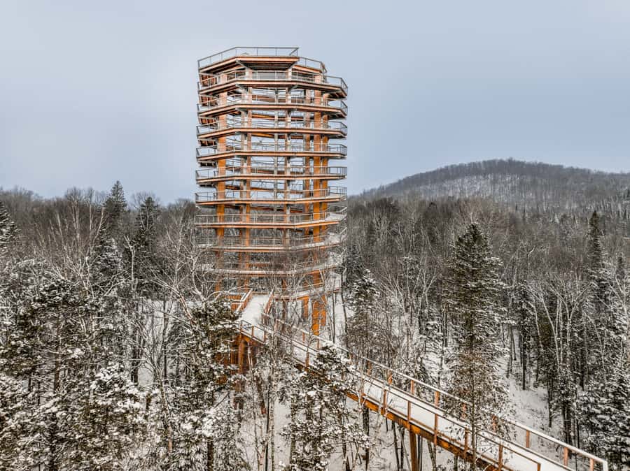 Mont-Tremblant: Treetop Observatory and Self-Guided Walk - The forest details: fauna and flora you can spot on your own