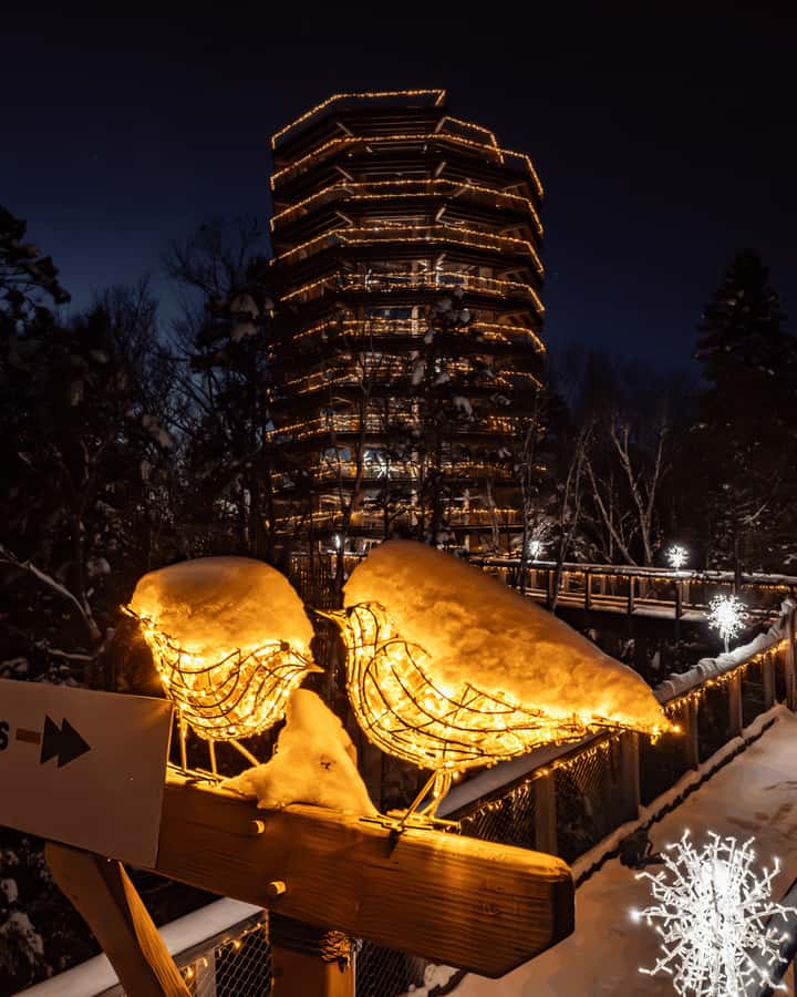 Mont-Tremblant: Treetop Observatory and Self-Guided Walk - What to bring (and what not to bring) for a better visit
