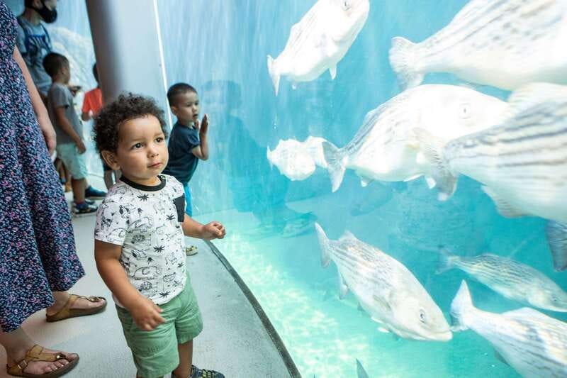 Montreal: 5 Attractions Pass - McCord Stewart Museum: Art and Stories in One Ticket