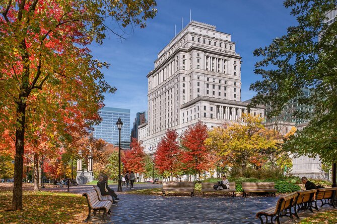 Montreal City Highlights 3 Hour Walking Tour | Gratuity-Based - Old Port and Place Jacques-Cartier: River Views and Street Life
