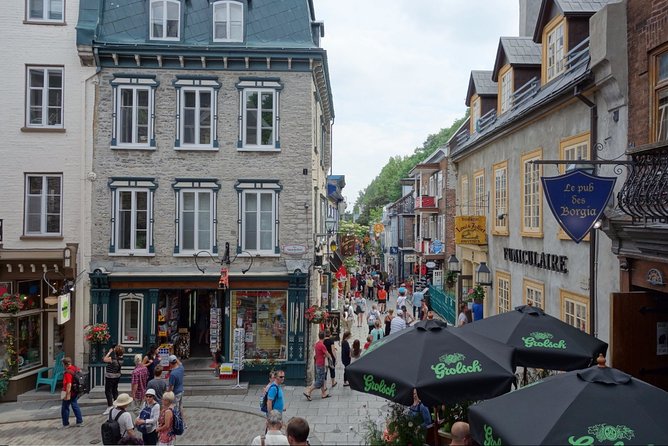 Montreal City Sightseeing Tour with Live Commentary - Old Montreal stop: cobblestones, churches, and a walk you can feel