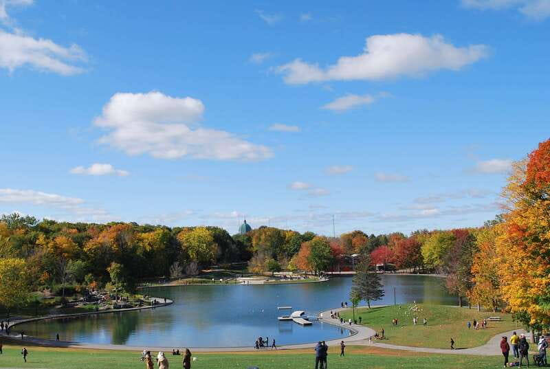 Montreal: Full-Day Small Group City Tour - Key highlights you’ll feel right away