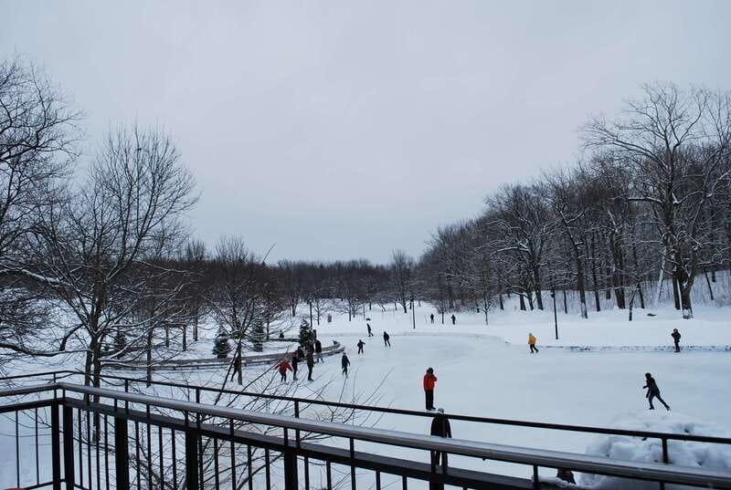 Montreal: Full-Day Small Group City Tour - Who this tour is best for