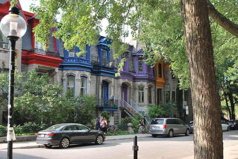 Montreal: Full-Day Small Group City Tour - Why this 7-hour loop makes sense for Montreal orientation