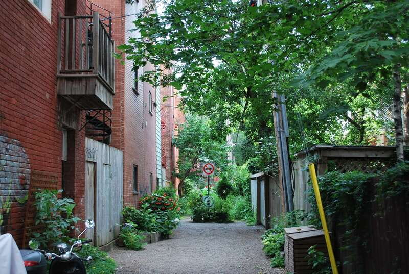 Montreal: Full-Day Small Group City Tour - Old Montreal lunch/shopping break plus a Notre-Dame photo stop