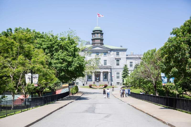 Montreal: Guided Bike Tour of City, Old Port & Plateau - Plateau, La Fontaine Park, and the Mont-Royal Park entrance: green breaks that make the ride worth it