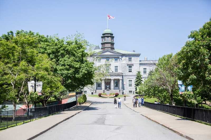 Montreal: Guided Bike Tour of City, Old Port & Plateau - McGill and downtown high-rises: the city’s layers, explained as you ride