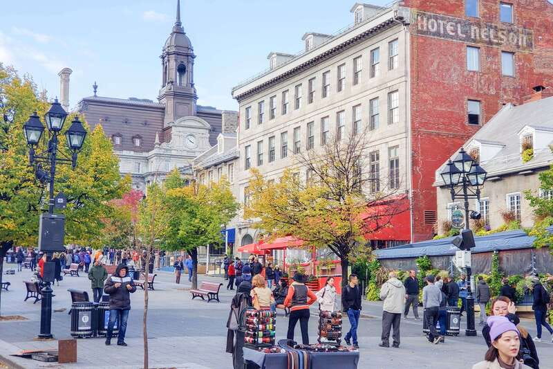 Montreal: Guided Bus Tour - From former city hall to today’s Montreal City Hall