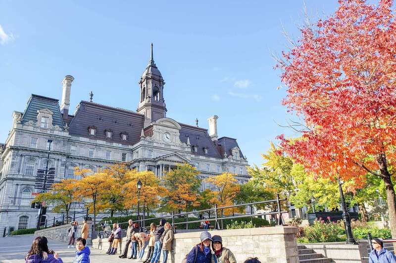 Montreal: Guided Bus Tour - McGill University and Université de Montréal: Montreal with an academic tilt