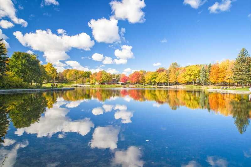 Montreal: Guided Bus Tour - Price and value: what $26 buys you in 3.5 hours