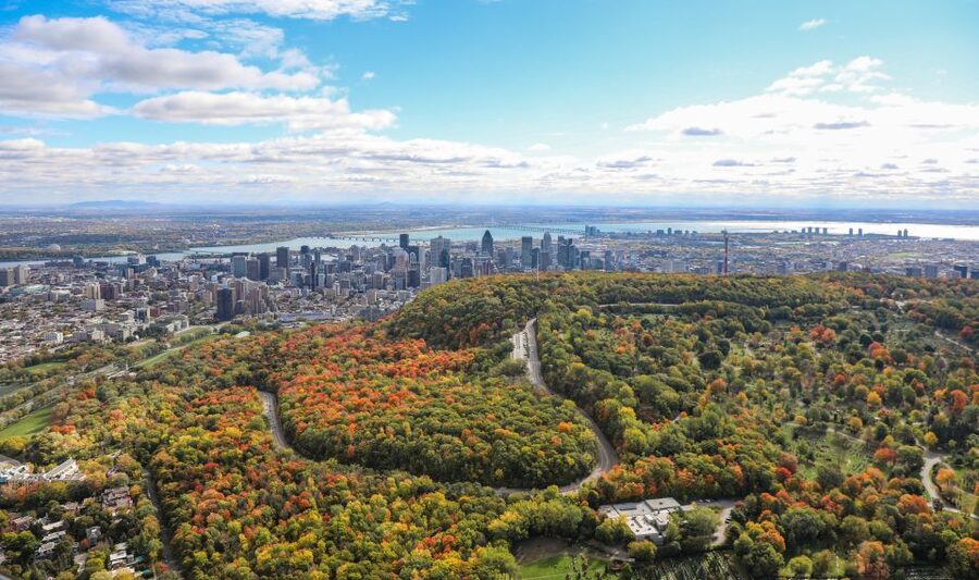 Montreal: Guided Helicopter Tour - Photo Tips That Work From a Helicopter (Without Getting Weird)