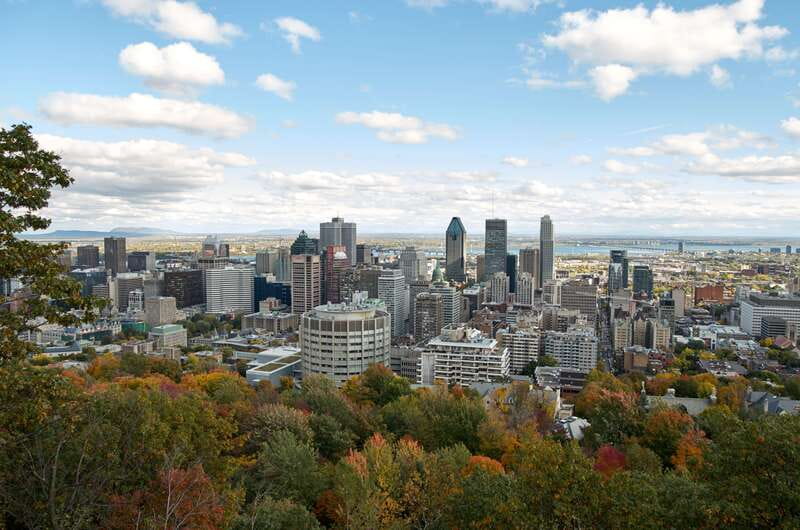 Montreal: Half-Day City Tour - Afternoon Tour: Old Montreal First, Then Westmount and the Mount Royal Summit