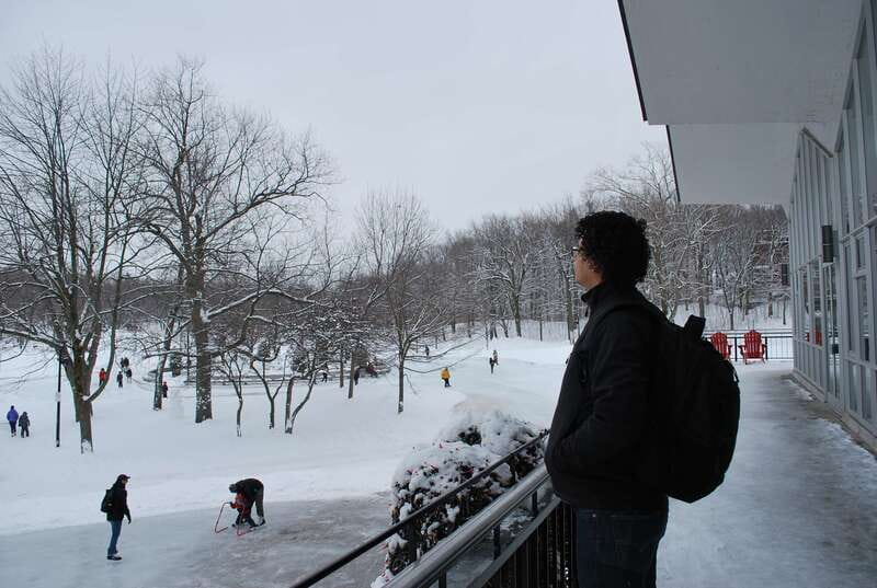 Montreal: Half-Day City Tour - Should You Book This Half-Day Montreal Tour?