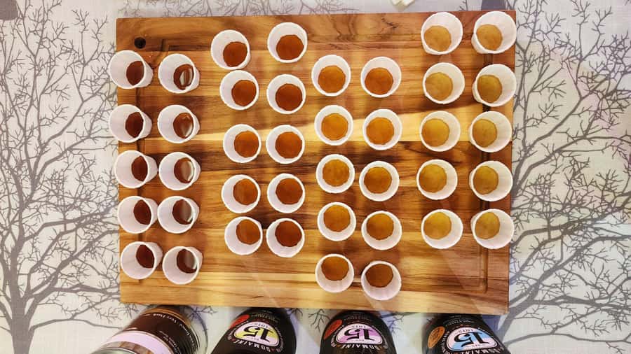 Montréal: Maple Syrup Tasting Conference! - Language and group size: who this tour fits best