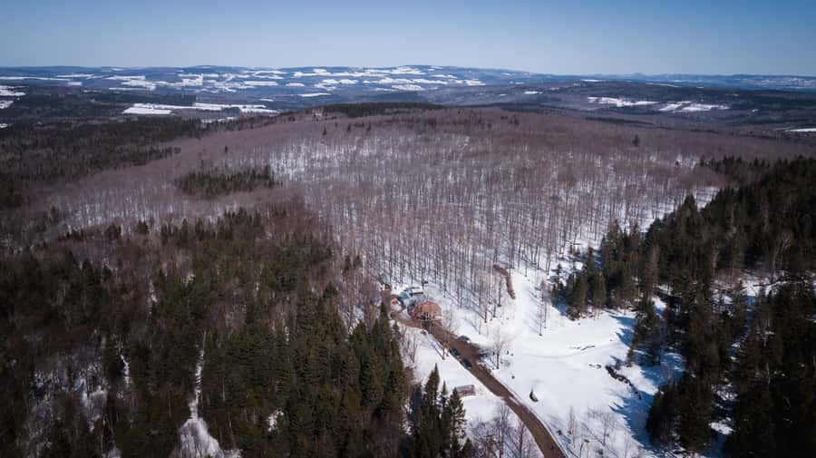 Montréal: Maple Syrup Tasting Conference! - From sugar bush to syrup: the harvesting and making story