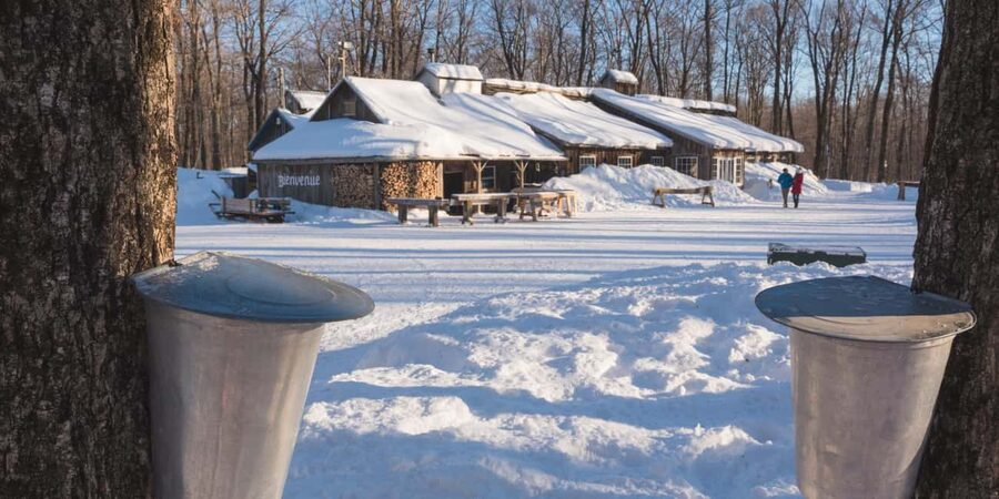 Montreal: Maple Syrup Tour with Sugar Shack & Local Cuisine - Key highlights I’d plan around