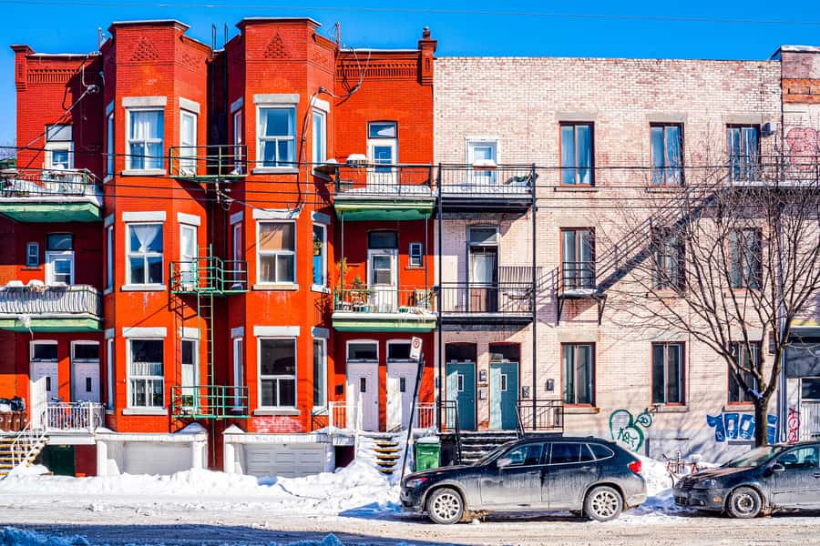 Montreal: Mile End District Food Tour with 8+ Tastings - The Sweet Ending: Hand-Piped Cannoli and Italian Coffee