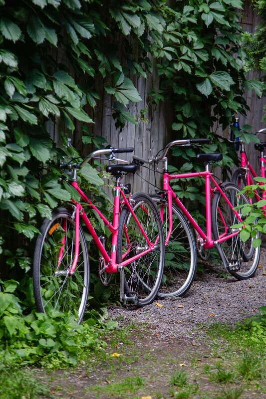 Montreal: Non Touristy Pink Bike Tour - Practical expectations: riding, attention, and staying comfortable