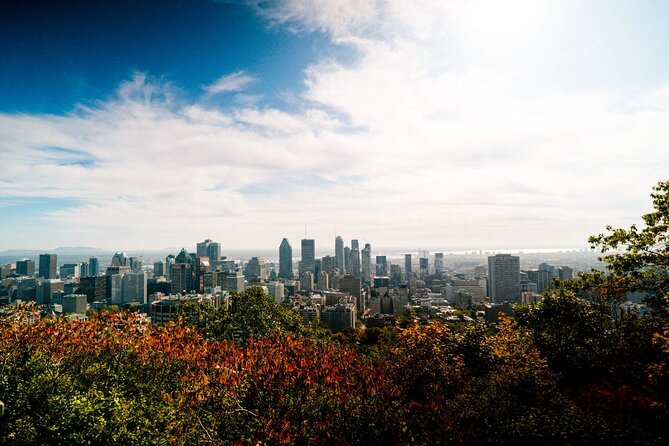 Montreal Premium Driving Tour with River Cruise and Notre Dame - Mont-Royal Lookout and the Story Behind the Neighborhoods Below